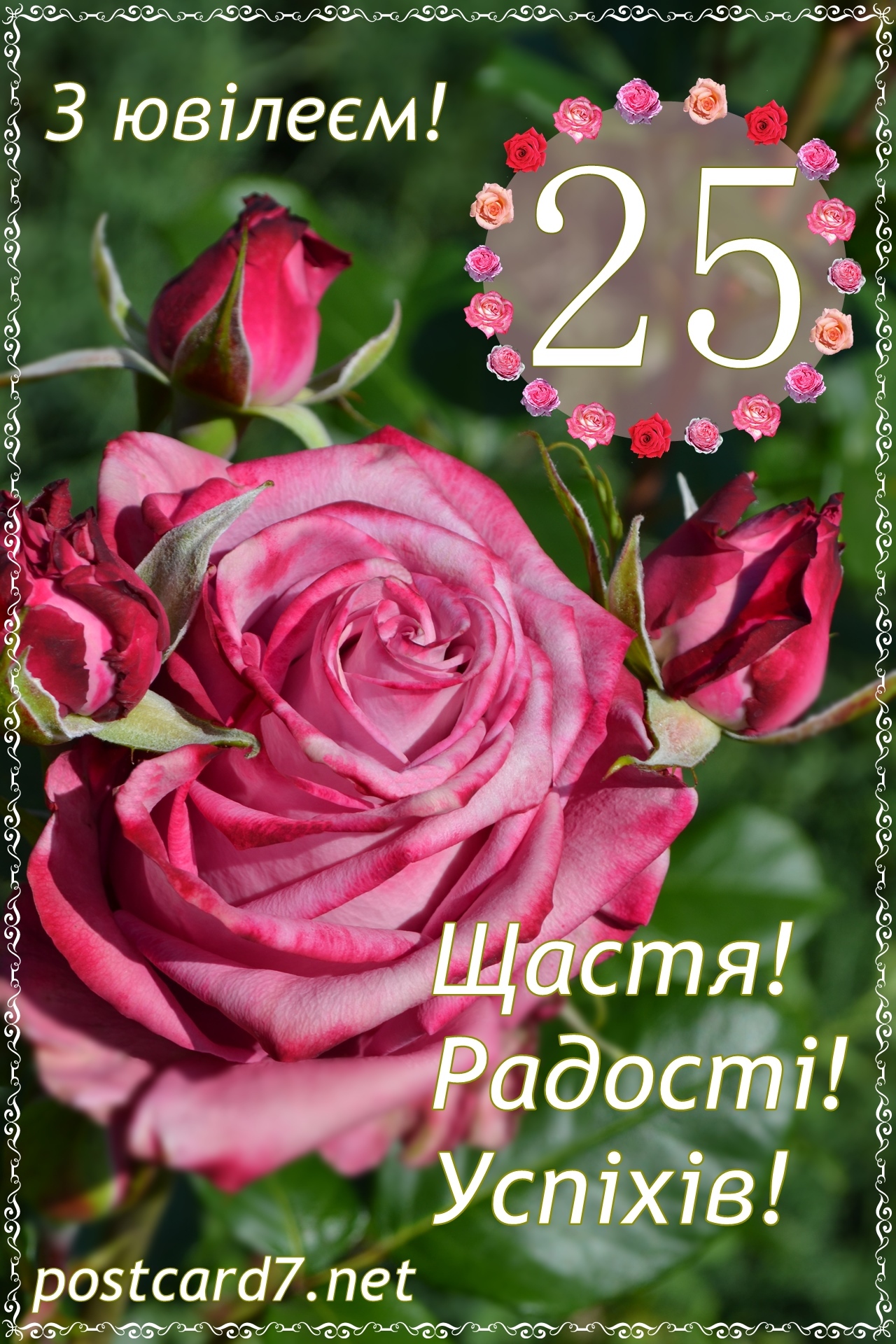 Листівка з рожевою трояндою до 25-річчя