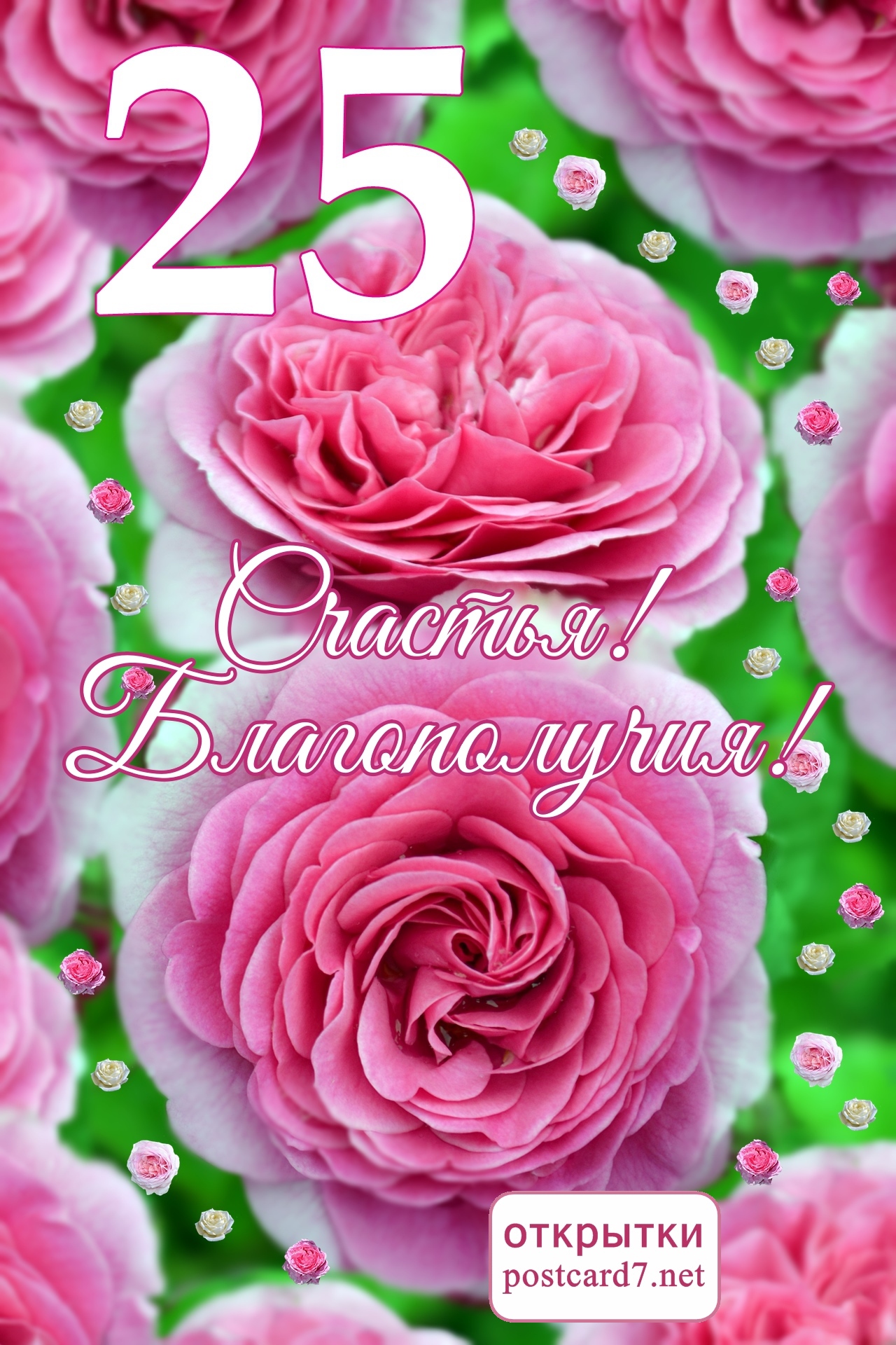 25 лет, открытка, розовые розы