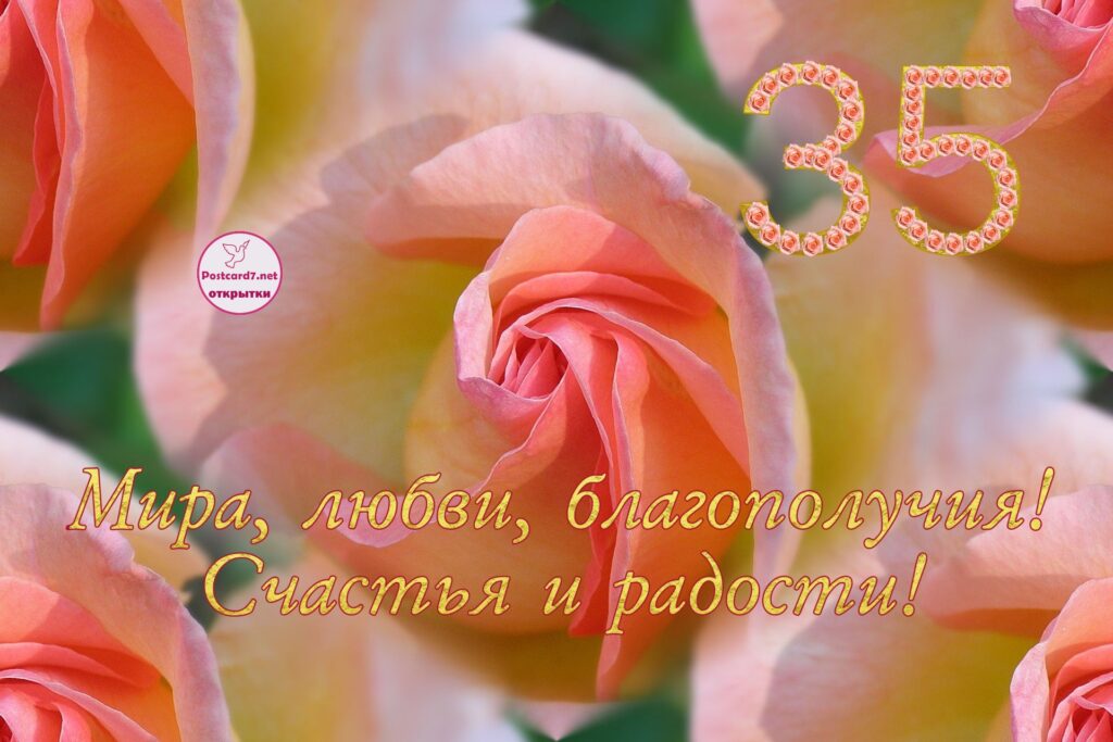 открытка, розы, 35 лет