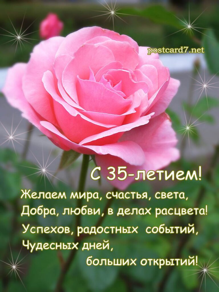 Открытка, стихи, роза, с 35-летием
