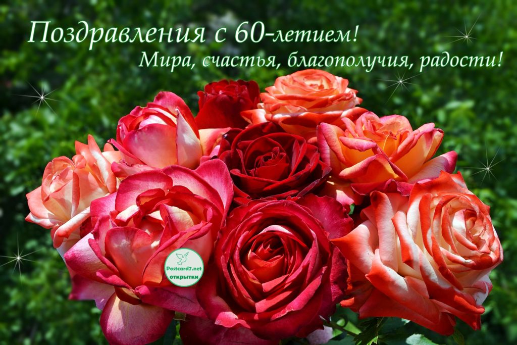 9 роз к 60-летию, открытка