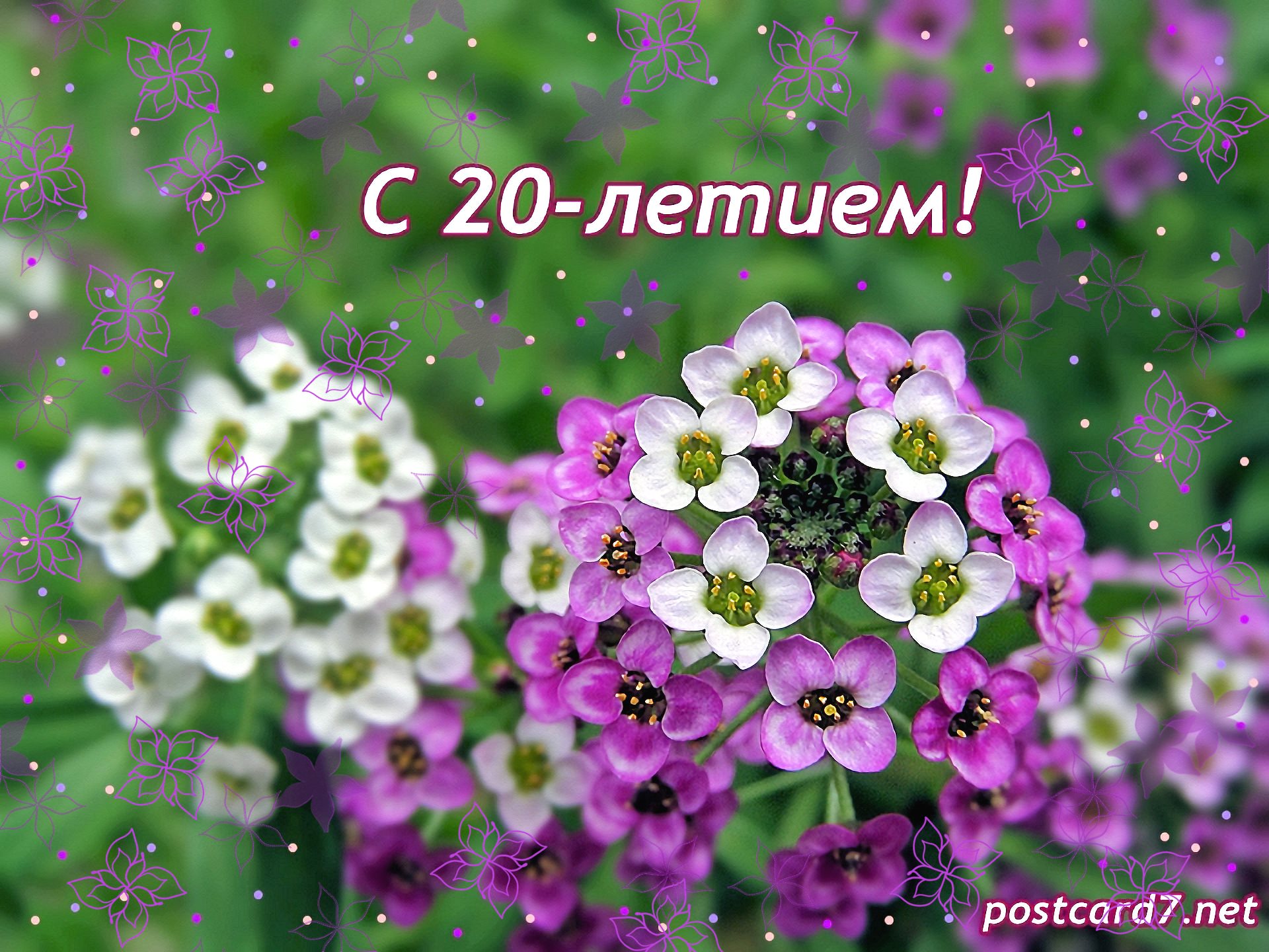 20 лет, открытка, сиреневые цветочки