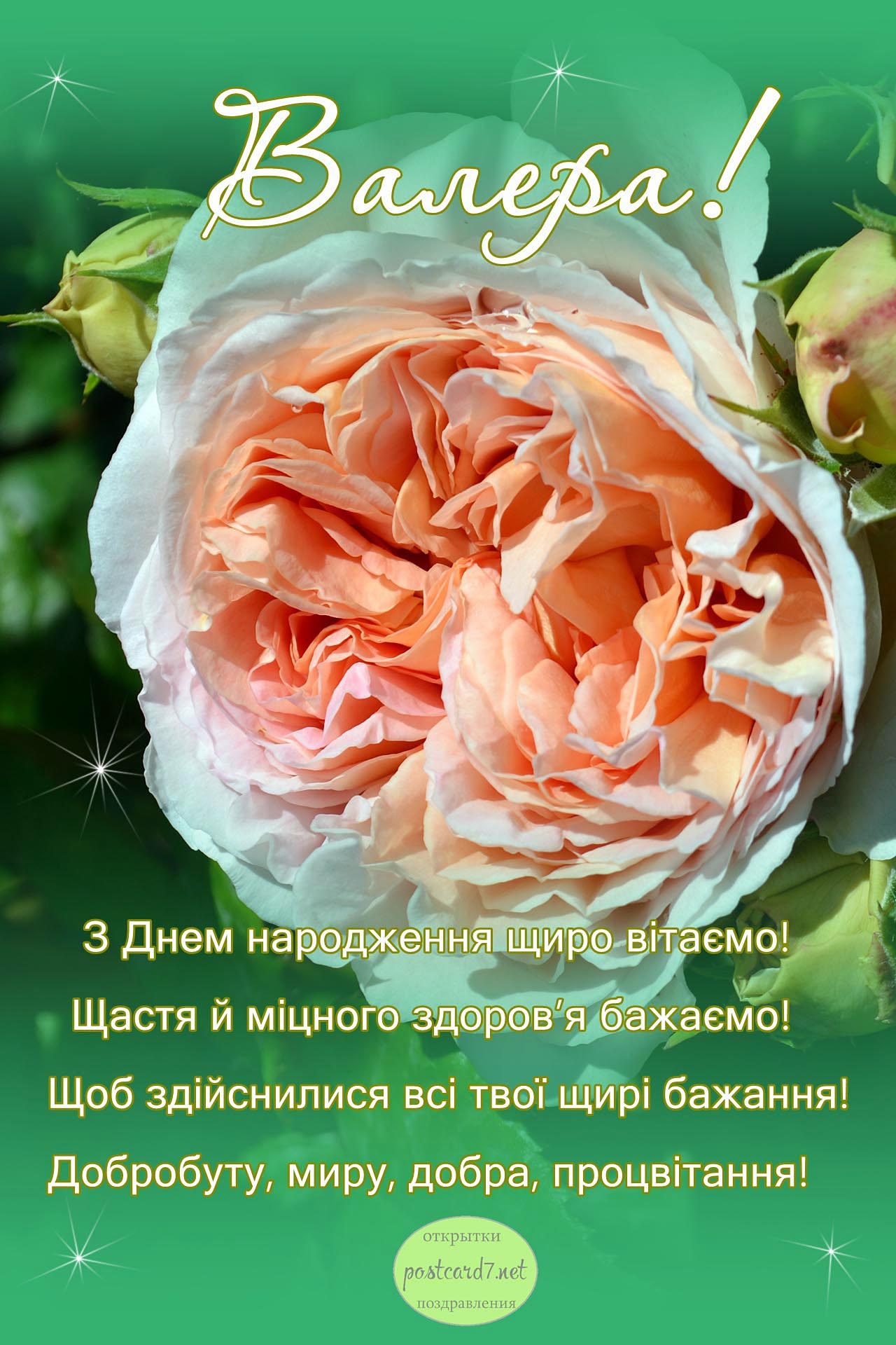Валера, з Днем народження, листівка з трояндою та віршами