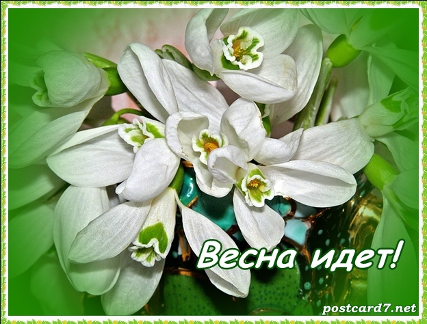 Весна идет, открытка, подснежники