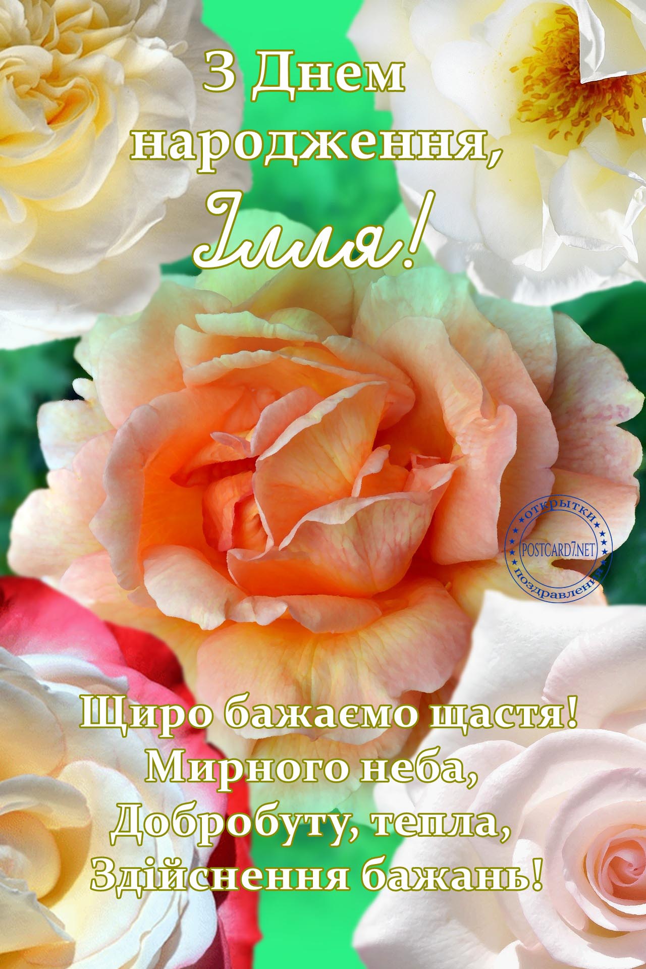 З Днем народження, Ілля, листівка з гарними трояндами