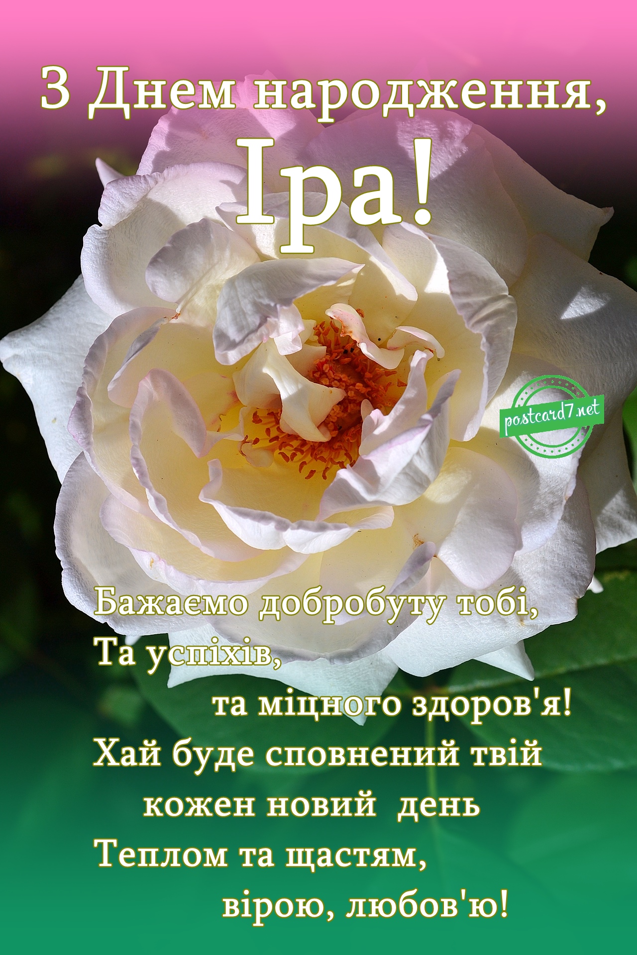 З Днем народження, Іра, листівка з трояндою