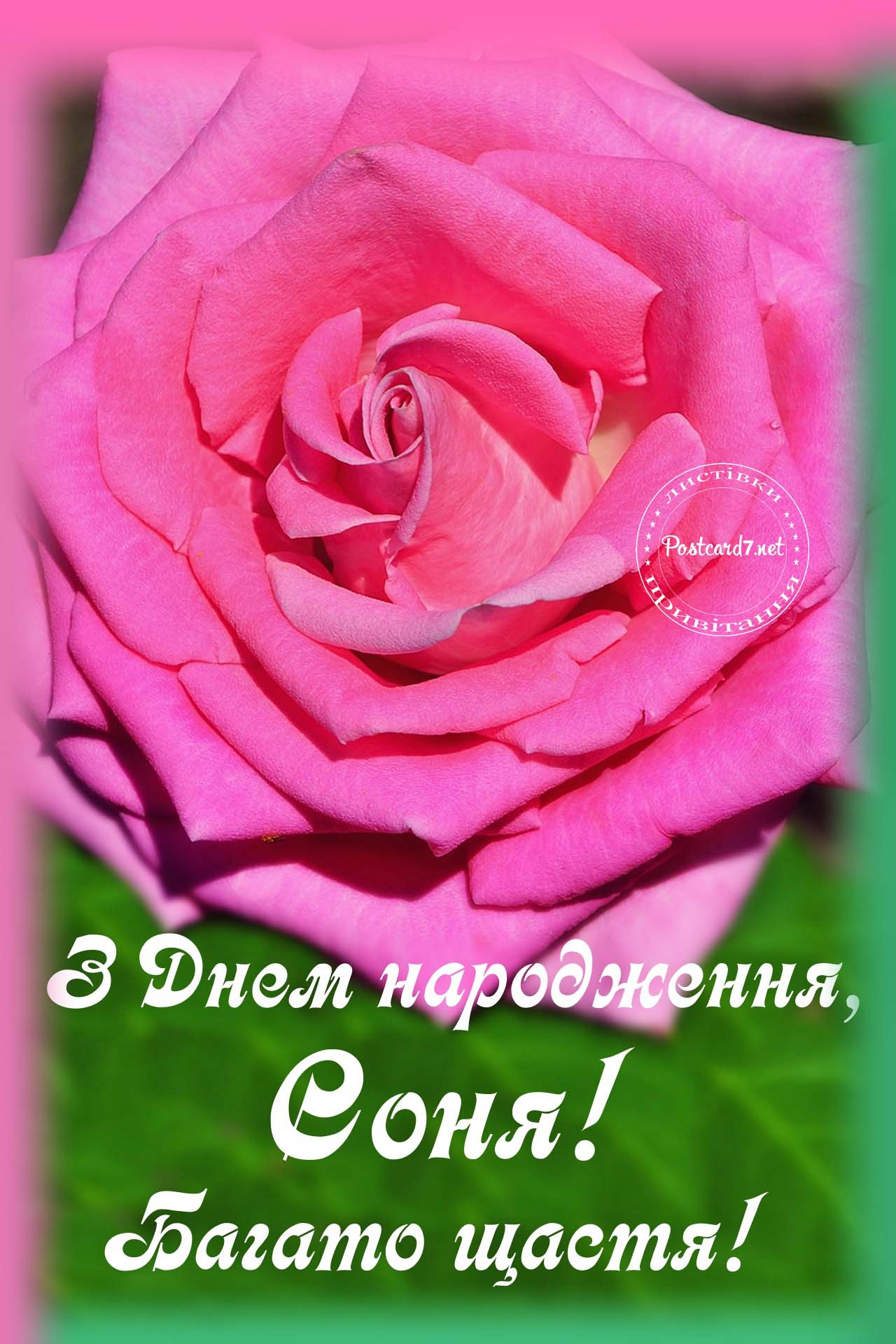 З Днем народження, Соня, вітальна листівка з рожевою трояндою
