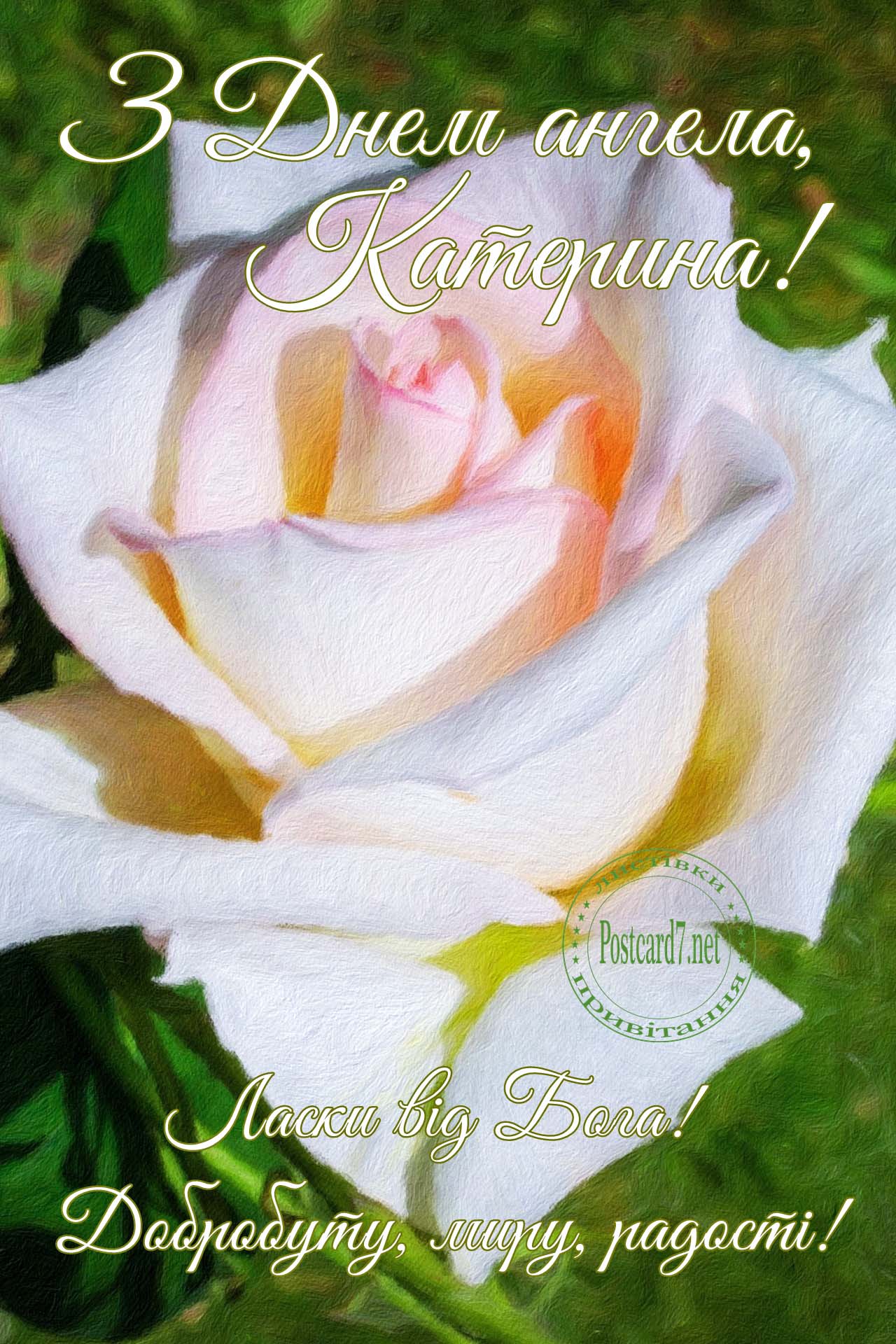 З Днем ангела, Катерина, листівка з трояндою