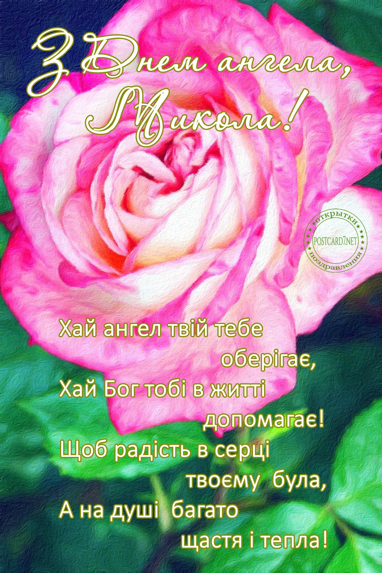 З Днем ангела, Микола, листівка з рожевою трояндою