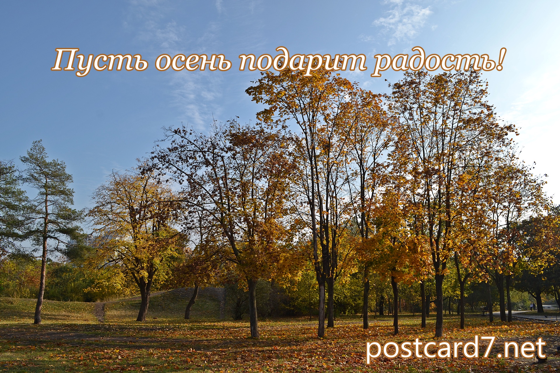 Пусть осень подарит радость! Красивая осенняя открытка с пожеланиями.