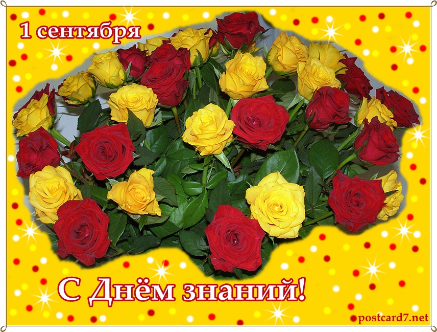 Открытка С Днем знаний, розы