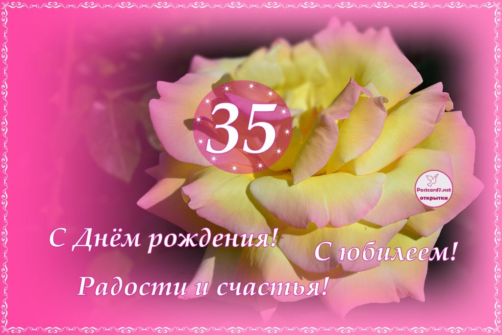 Роза в розовом обрамлении, открытка с 35-летием