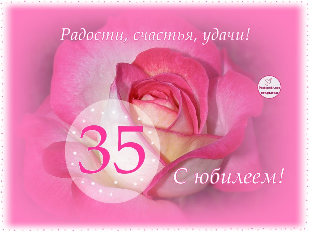 Роза в розовом обрамлении. Открытка к 35-летию