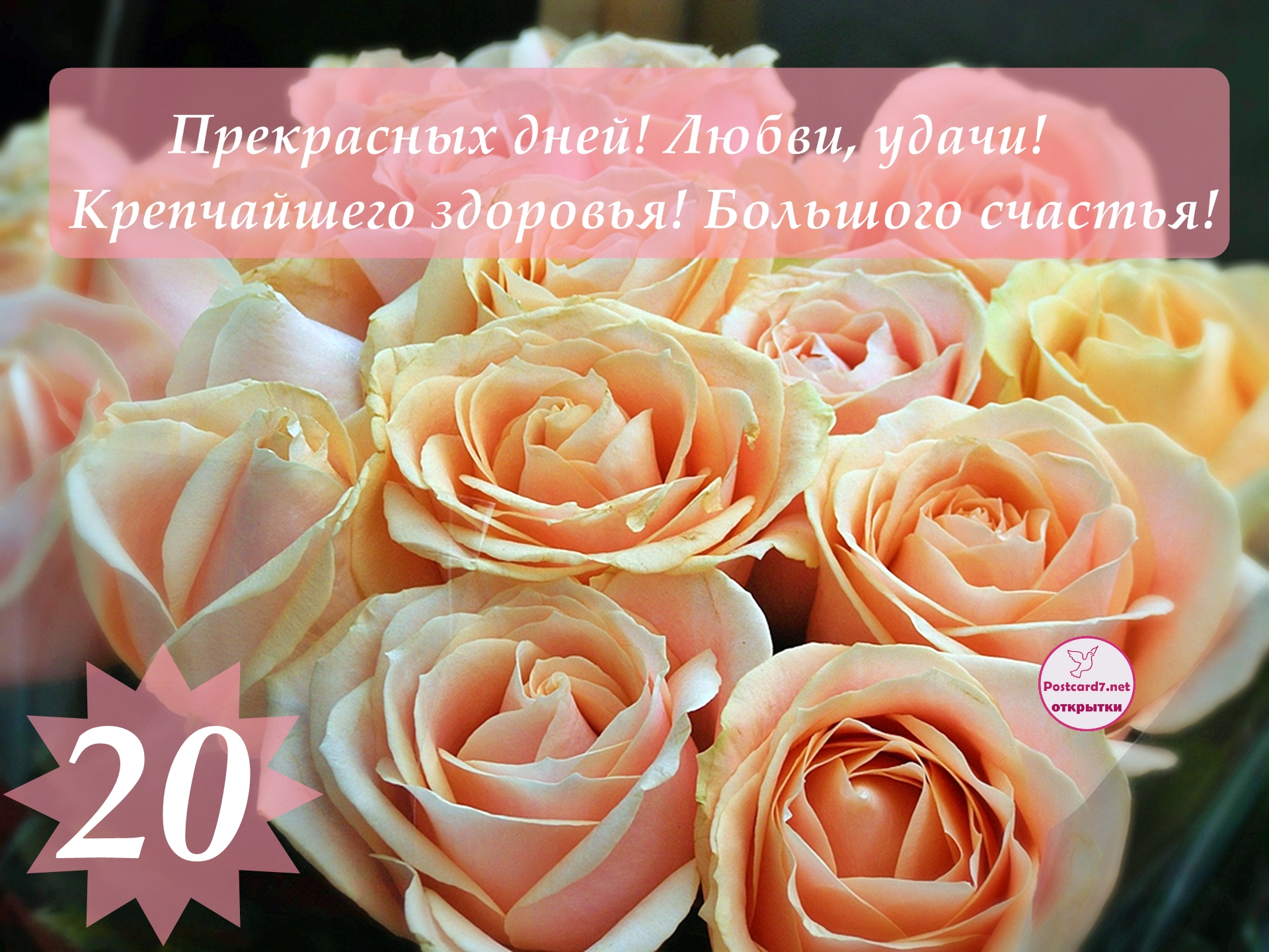 Открытка со светлыми розами, 20-летие