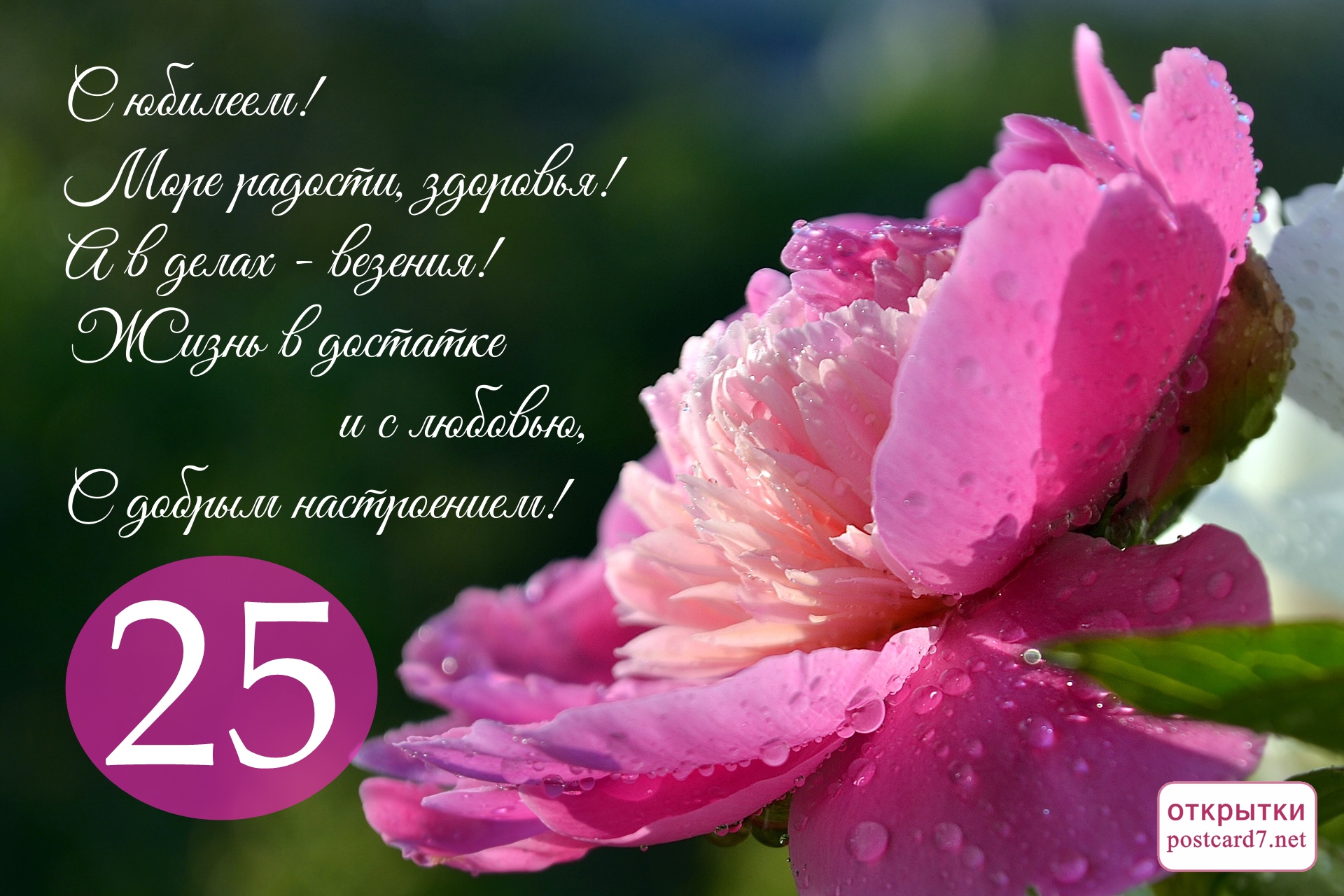 25 лет, открытка, пион, стихи