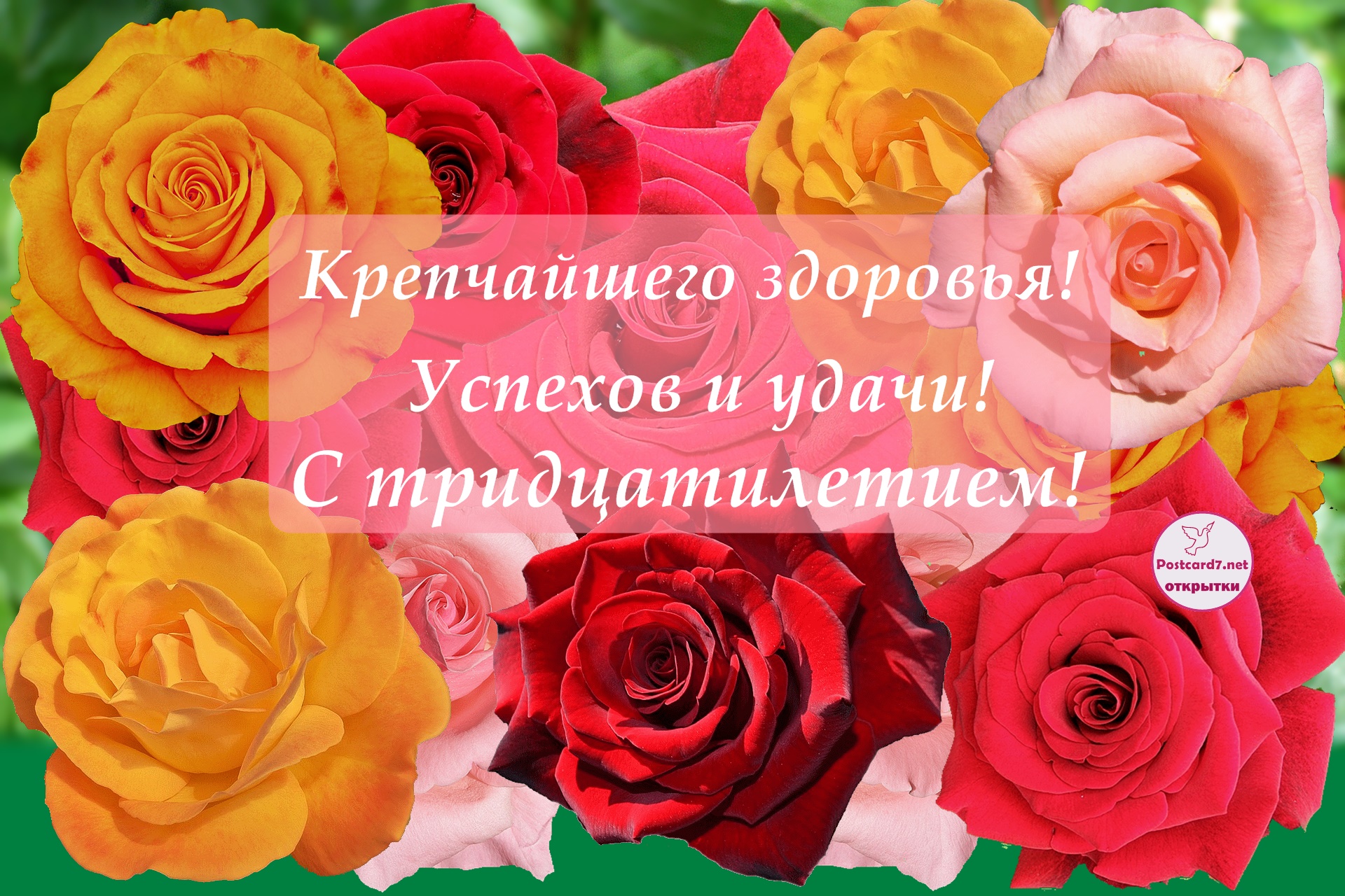 С 30, открытка с яркими розами