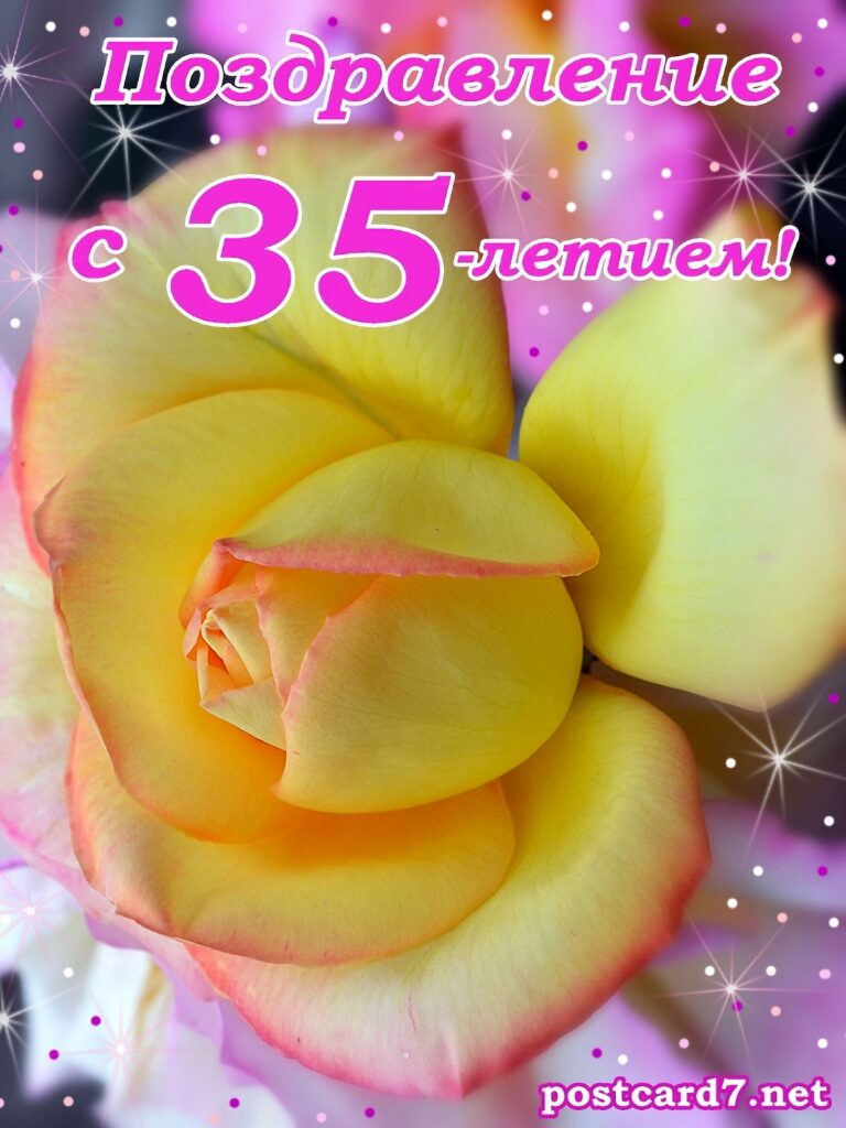 35 лет, открытка, роза