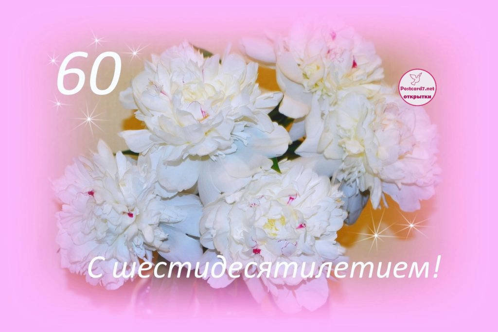 С 60-летием, пионы белые, открытка