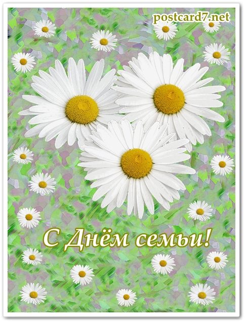 С Днем семьи_открытка, ромашки