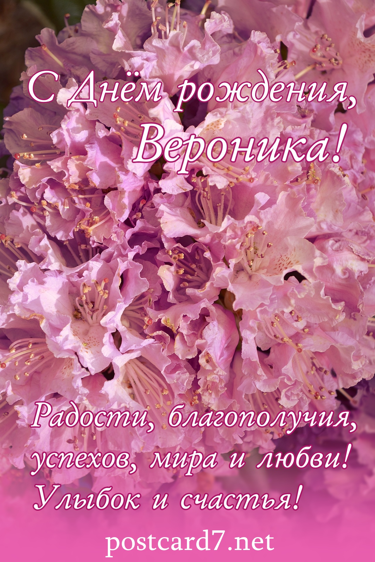 С Днём рождения, Вероника, открытка с цветками рододендрона