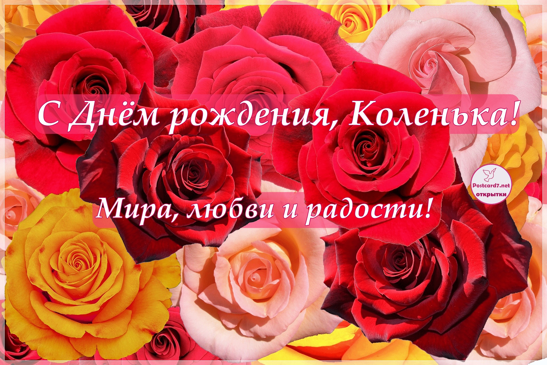 С Днём рождения, Коленька! Открытка с розами
