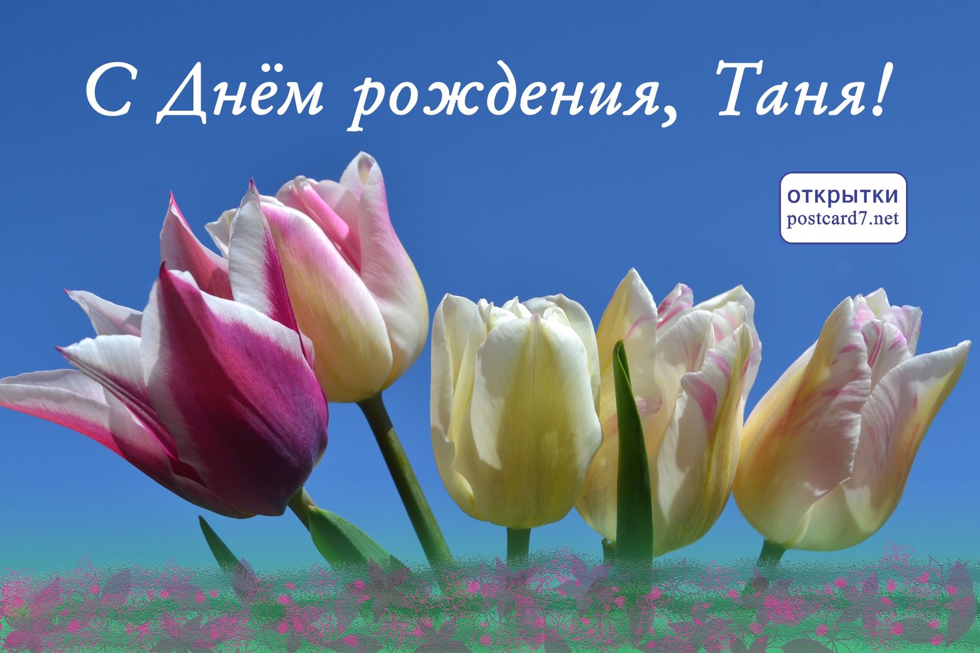 Открытка с тюльпанами для Тани, День рождения