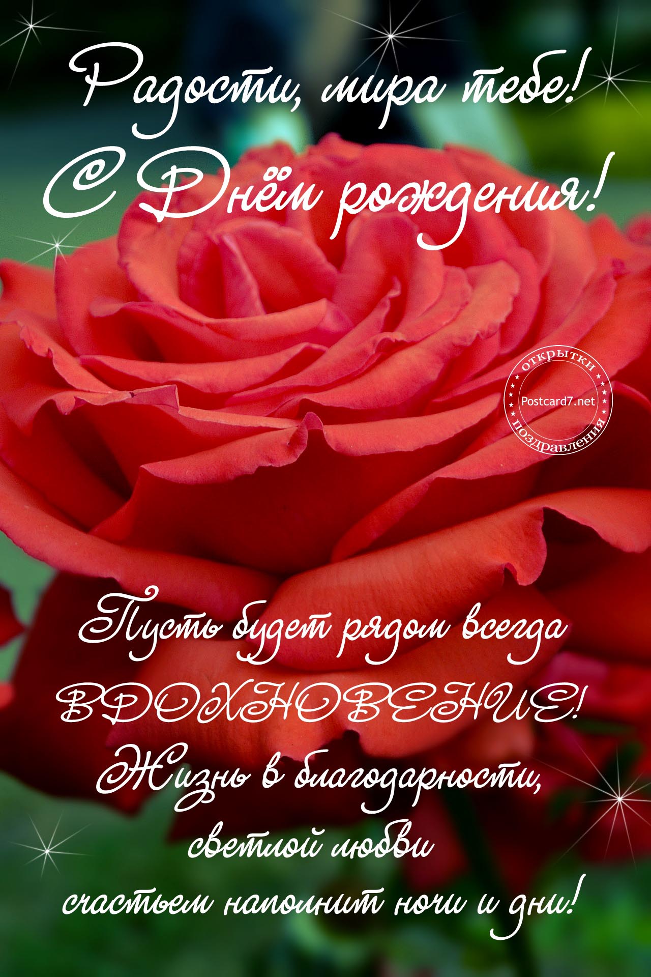 С Днём рождения,  открытка с розой и пожеланием вдохновения