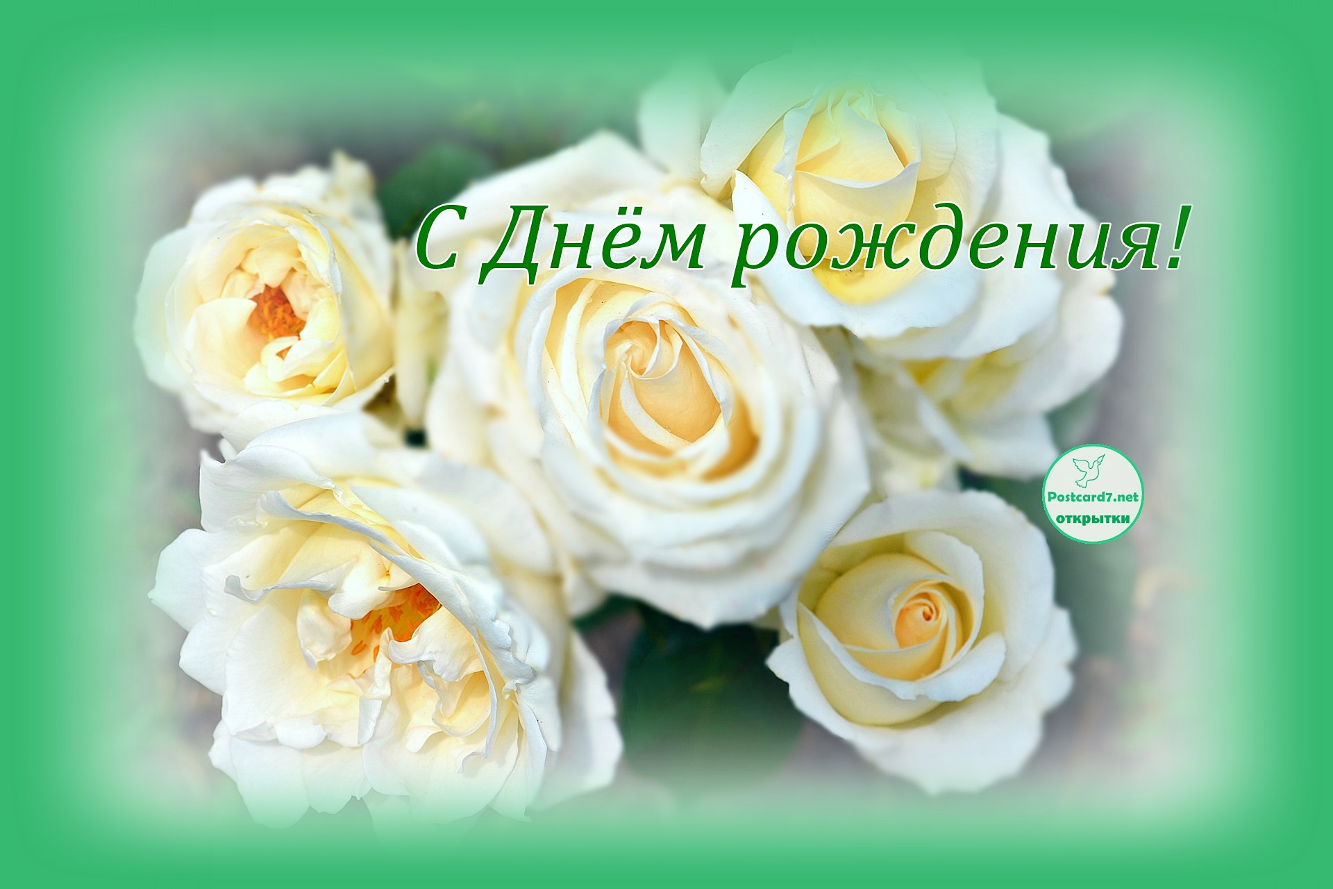 Светлые розочки. Открытка в день рождения
