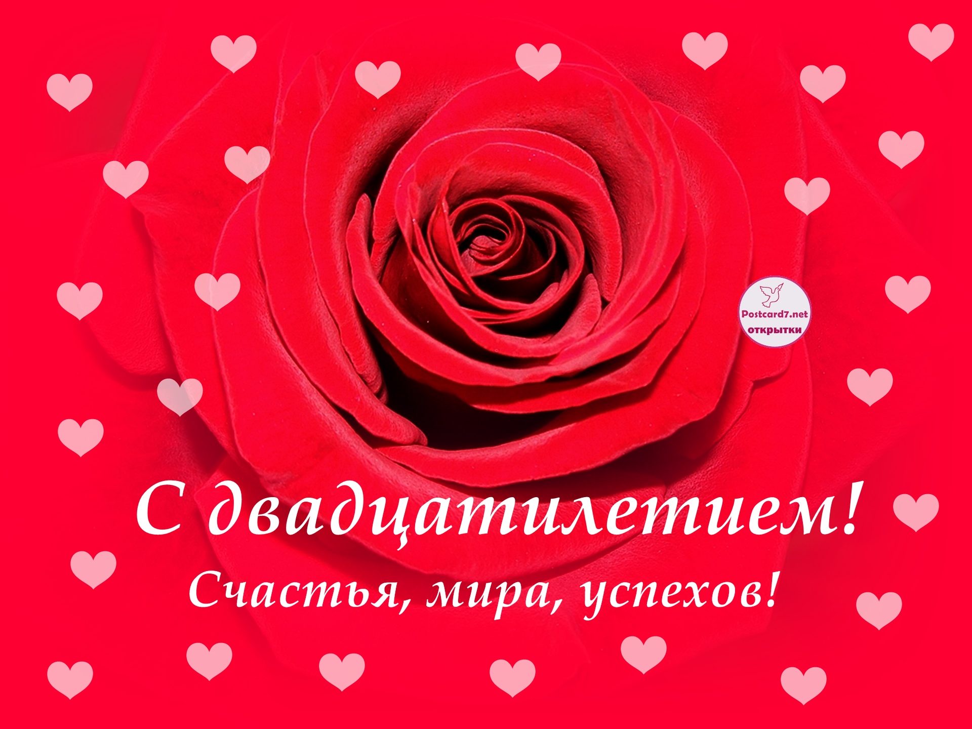С двадцатилетием, 20, открытка с розой