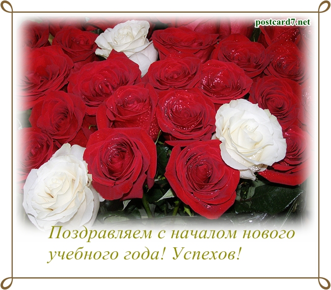 С началом нового учебного года; открытка