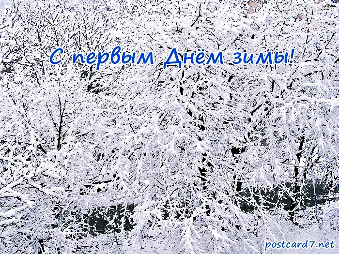 С первым Днём зимы, открытка, деревья в снегу
