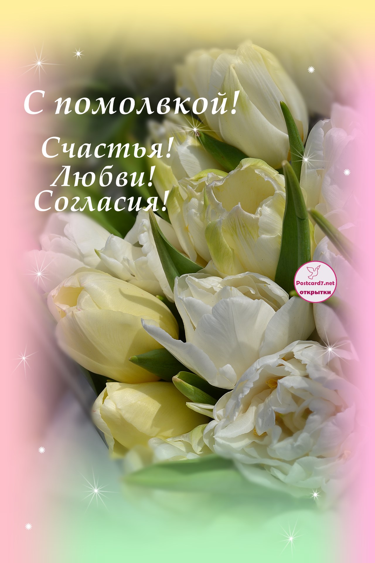 Светлые тюльпаны, открытка. С помолвкой! Мира, любви, согласия!