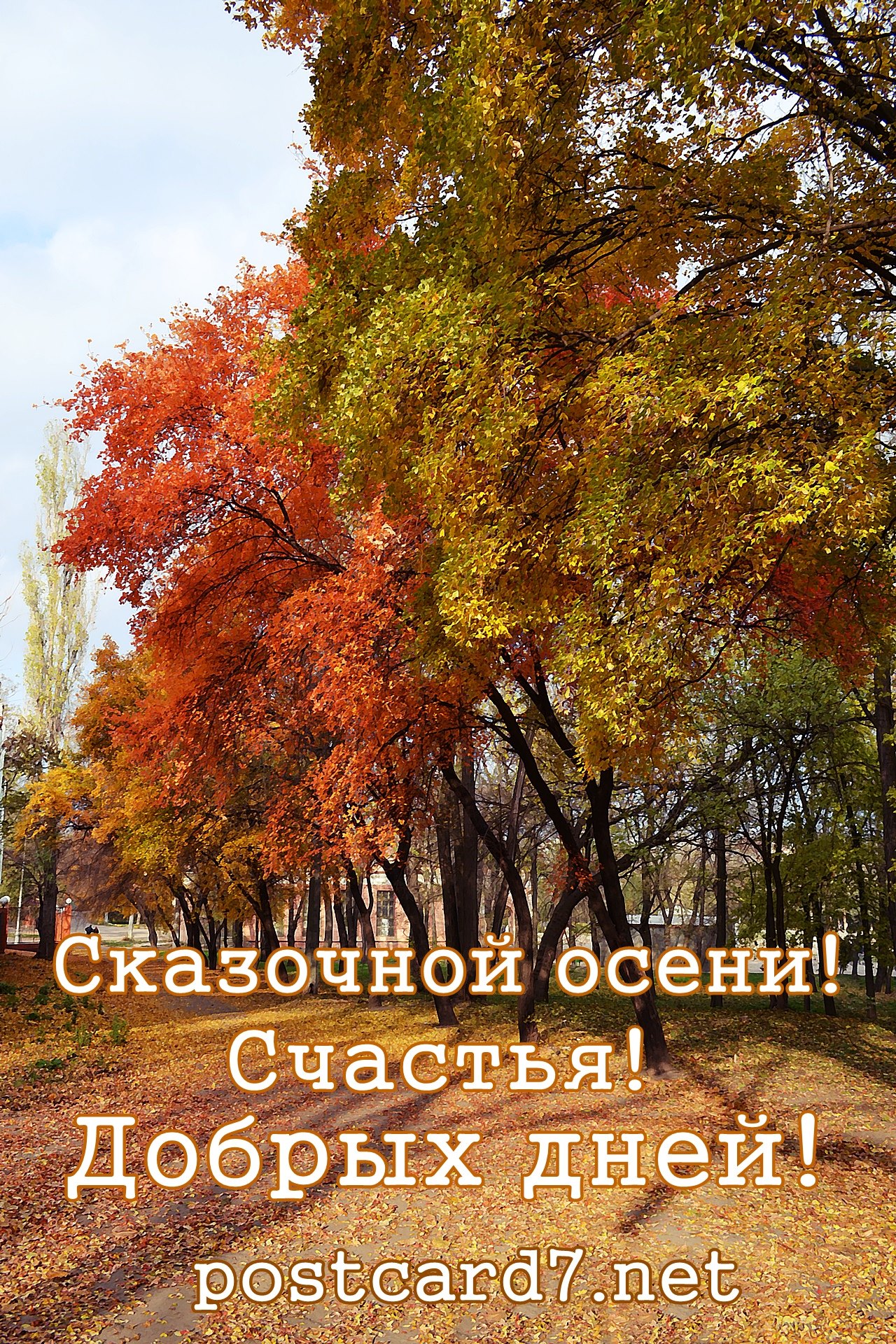 Сказочной осени! Счастья! Добрых дней! Открытка с яркими осенними деревьями