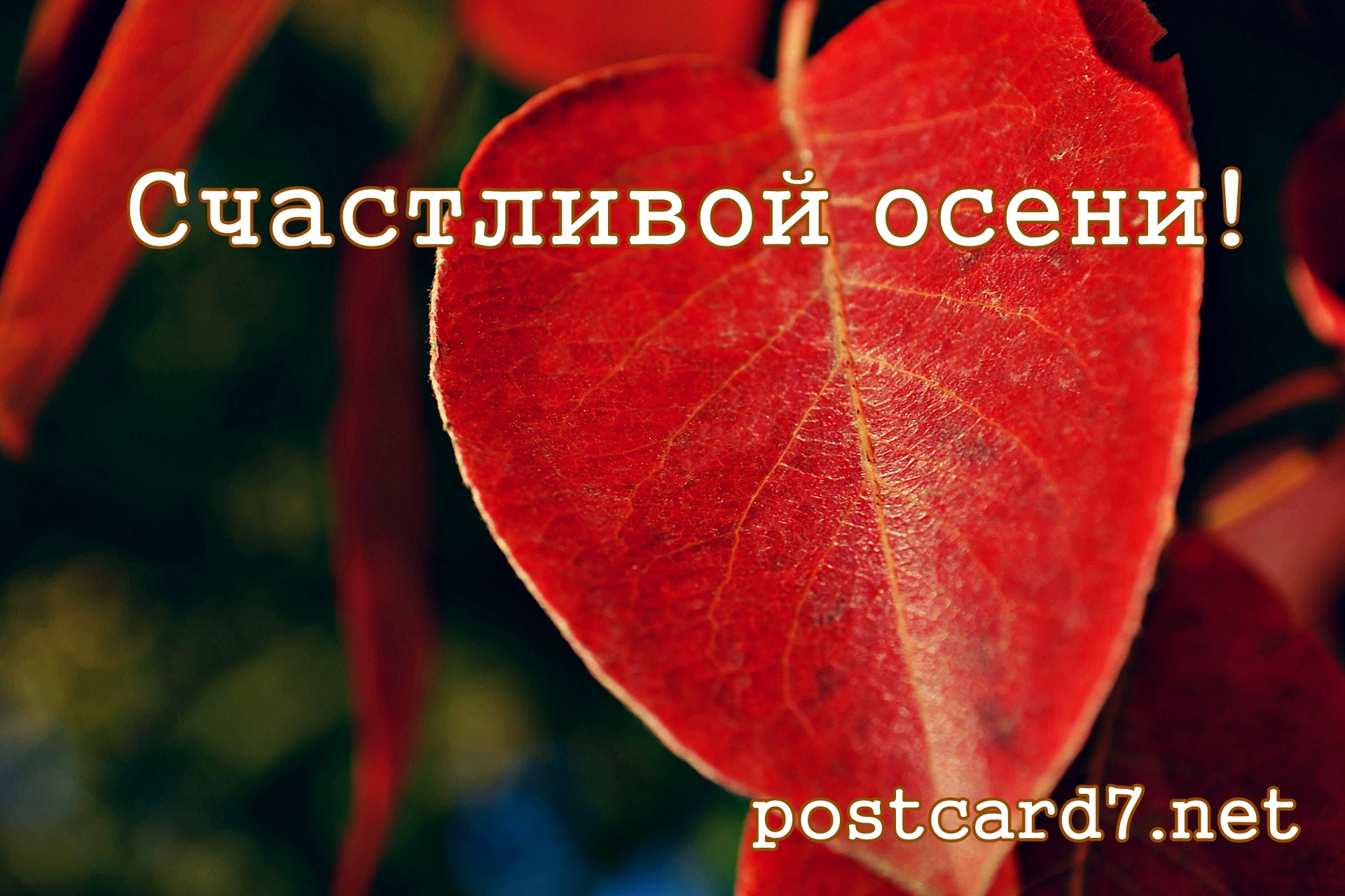 Счастливой осени, открытка красным осенним листом