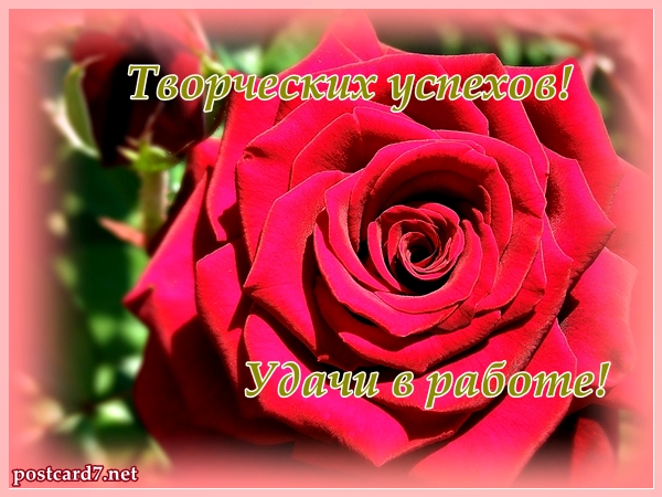 роза, удачи в работе