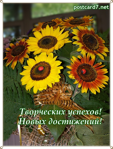 7 подсолнухов, творческих успехов