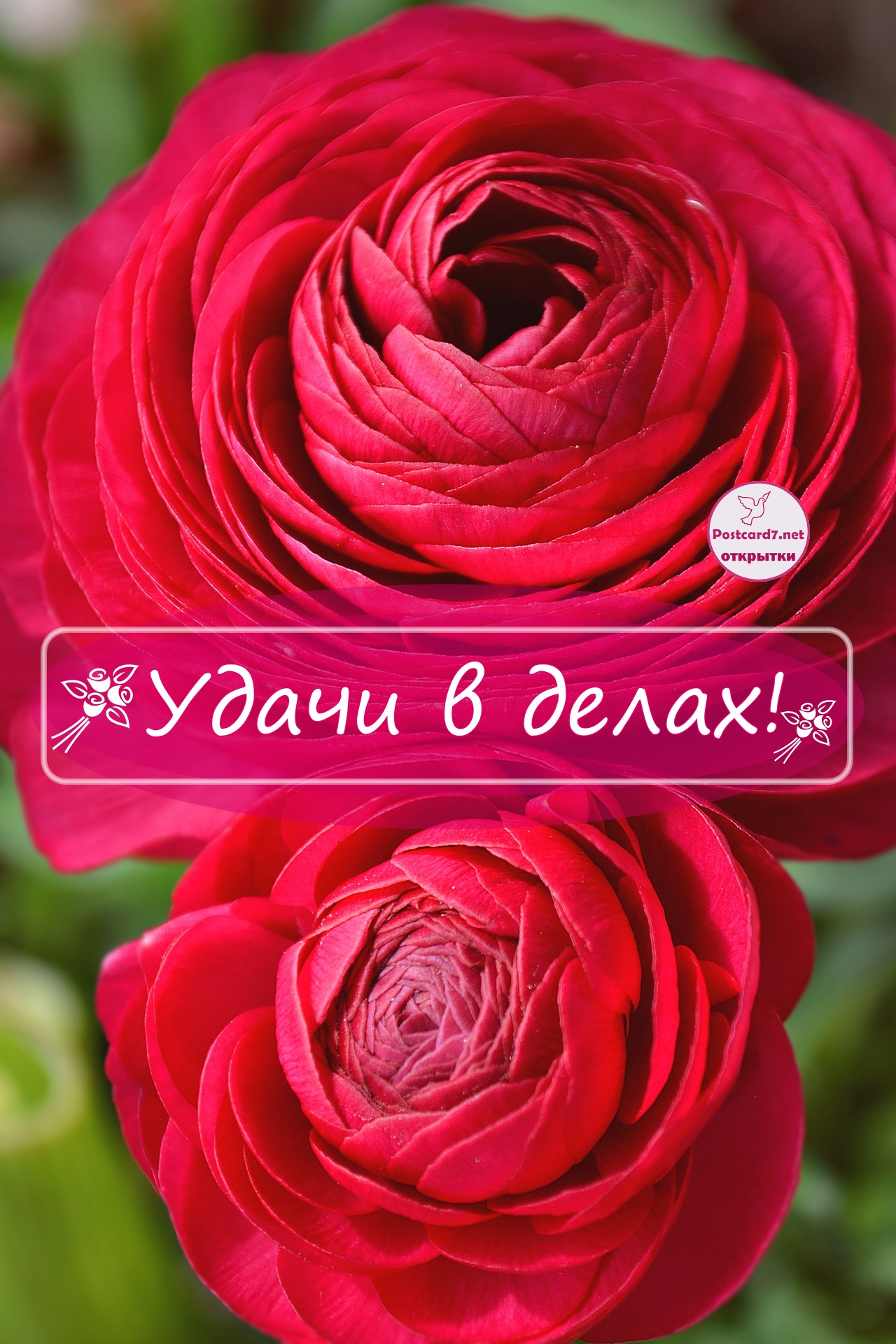 Удачи в делах! Открытка красными цветами
