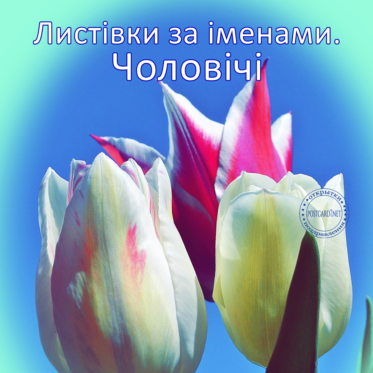 Чоловічі імена, головна картинка галереї листівок